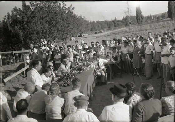 Kibbutz Beit Alfa in the Jezreel Valley